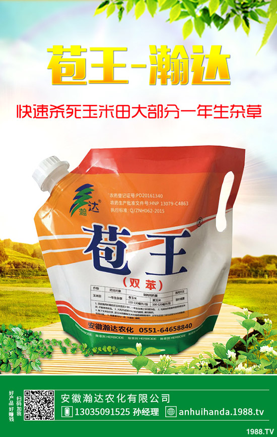 ʯ骻ôNֲʯ骻B(yng)ֳ