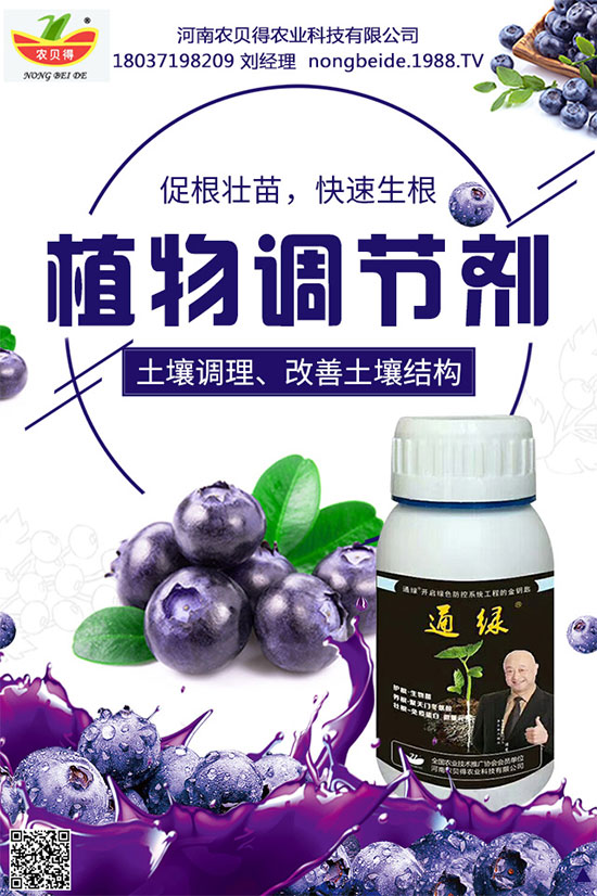 菠菜有什么營養(yǎng)價(jià)值?吃菠菜要去根嗎?