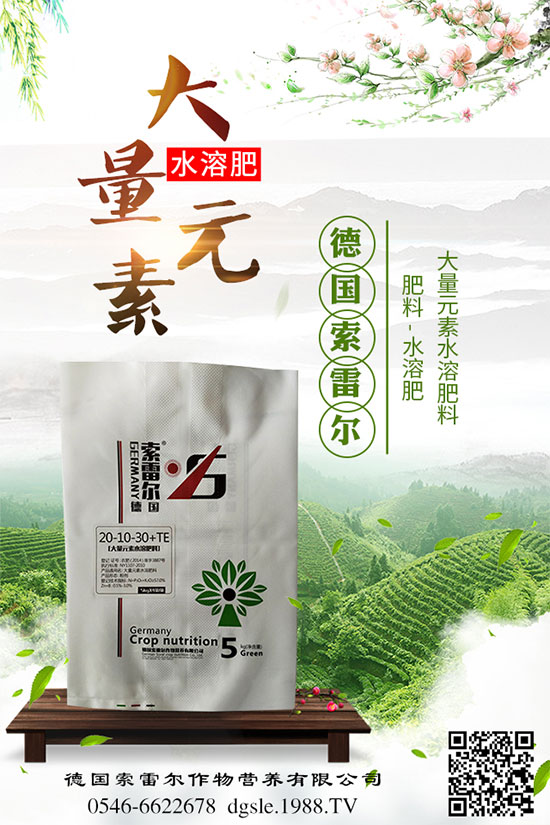吃甘蔗有什么好處?甘蔗的營養(yǎng)價值及食用禁忌!