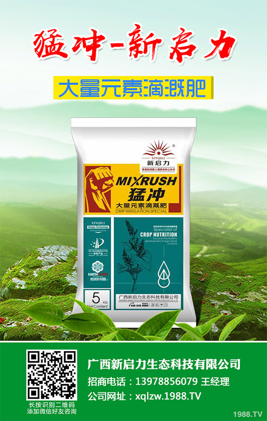 甘藍(lán)黑脛病有哪些危害?秋甘藍(lán)病害的發(fā)生與防治技巧