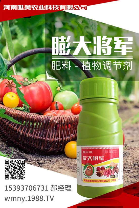 小麥底肥施足的依據是什么?小麥底肥的施用方案