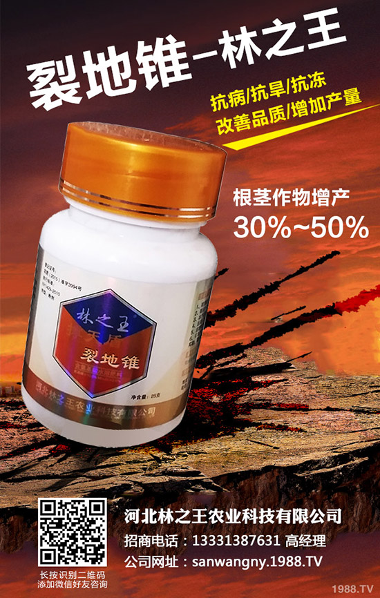 ѹôѹδʩ