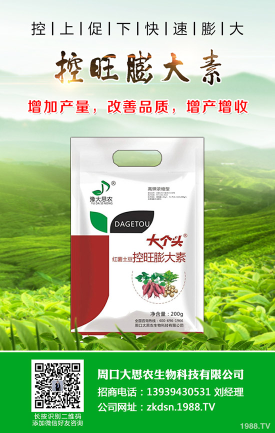 冬季大蒜怎么管理更好,大蒜的冬季田間管理要點(diǎn)!
