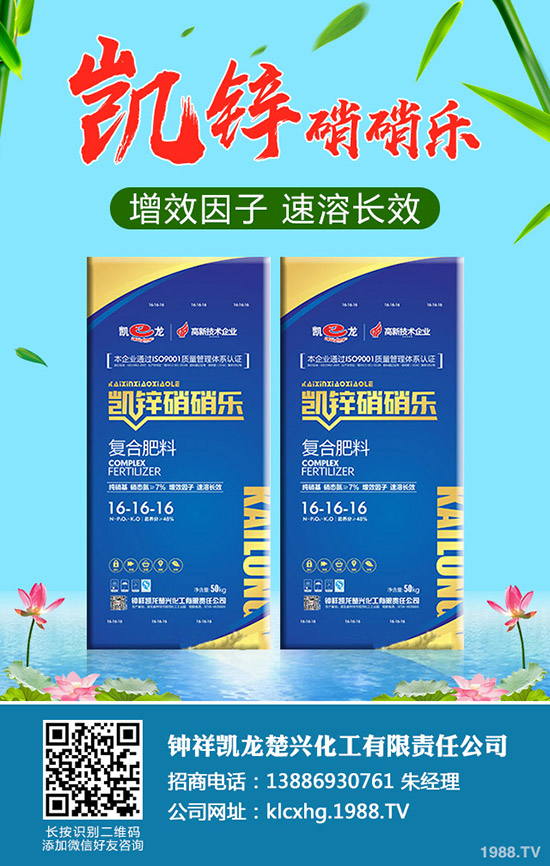 ʲô���ЙC��ײ����ЙC��ײ˷NֲҪ�c����Щ��