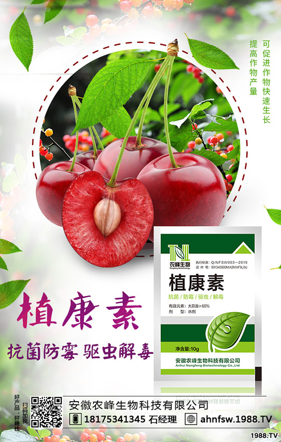 ��(d��ng)�w��ô�Nֲ����(d��ng)�w�NֲЧ�漰���༼�g(sh��)��