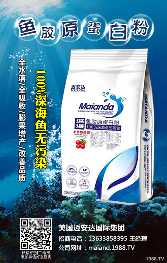     2020㹽NֲٍX(qin)ôǰNֲƷN]