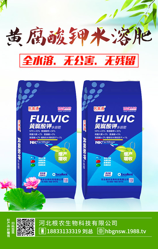 ɽ��m��ʲô�r(sh��)�g�Nֲ��ɽ髵ķNֲ������