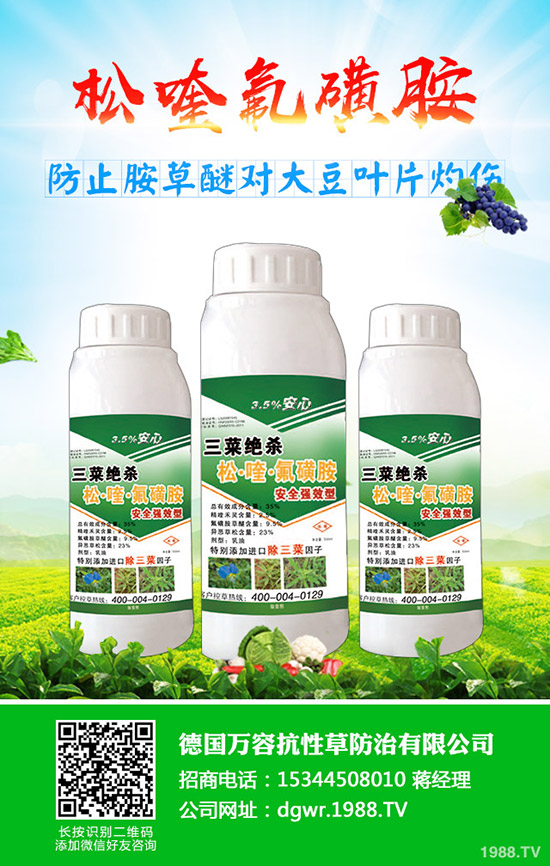 �S��ʲô�r�g�Nֲ���S���ķNֲ��������Щ��