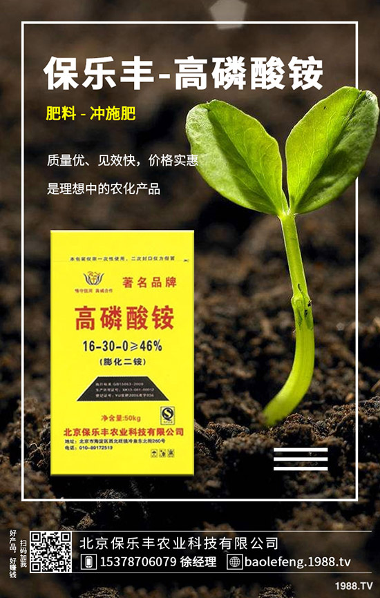 (gu)(ni)@r(ji)(hu)ϝq᣿2019.11.29ո@S(bo)r(ji)