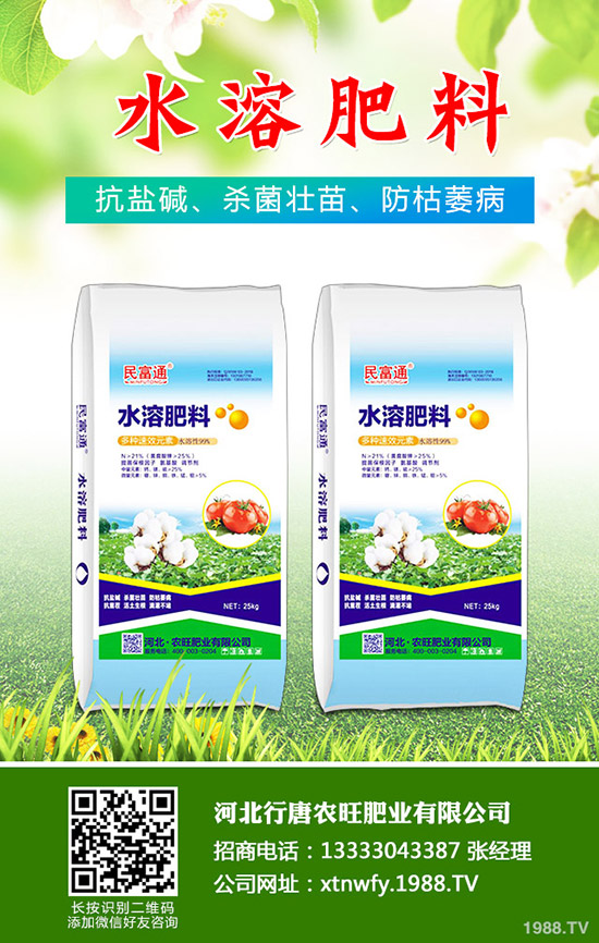 2019.11.29復(fù)合肥行情不溫不火!近期復(fù)合肥價格走勢分析!