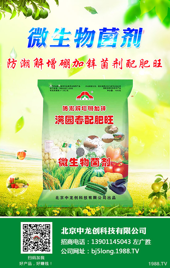 2020花生種植前景怎么樣,花生有哪些種植要點!
