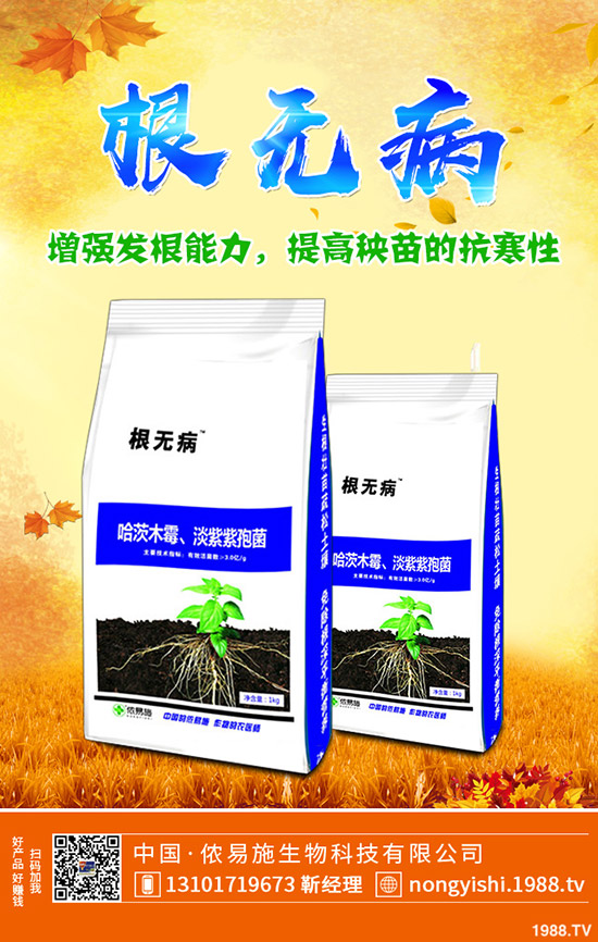 二銨冬儲(chǔ)市場(chǎng)緩慢!今日磷酸二銨主流出廠報(bào)價(jià)一覽2019-11-4