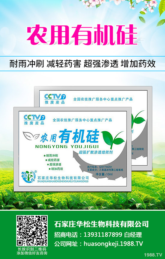 �ʲݵķNֲ��������Щ���ʲݷNֲ��Ҫʲô�ӭh(hu��n)����