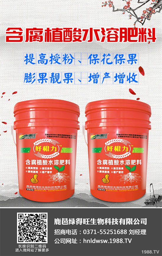 大棚蔬菜沖施肥需要注意什么？冬季大棚蔬菜施肥技術(shù)