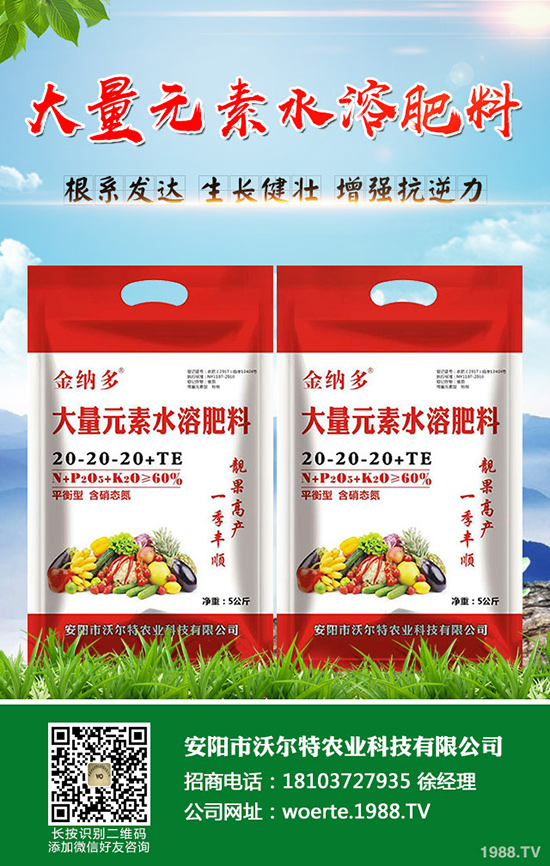 ������ô�N�����۷NֲҪ������Щ��