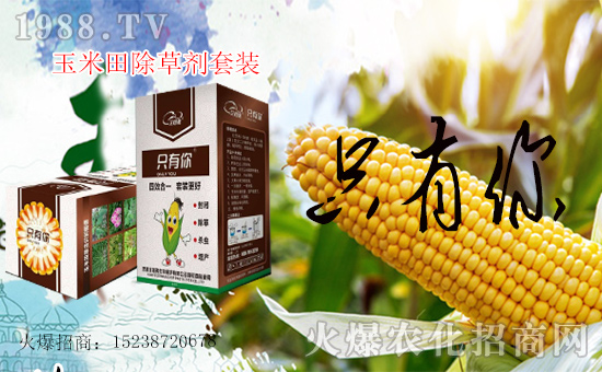 1988.TV喜迎新盟友,艾格弗作物保護(hù)開啟網(wǎng)絡(luò)招商新征程!