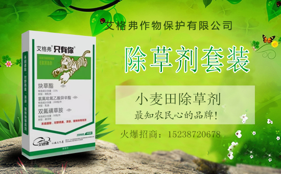 1988.TV喜迎新盟友,艾格弗作物保護(hù)開啟網(wǎng)絡(luò)招商新征程!