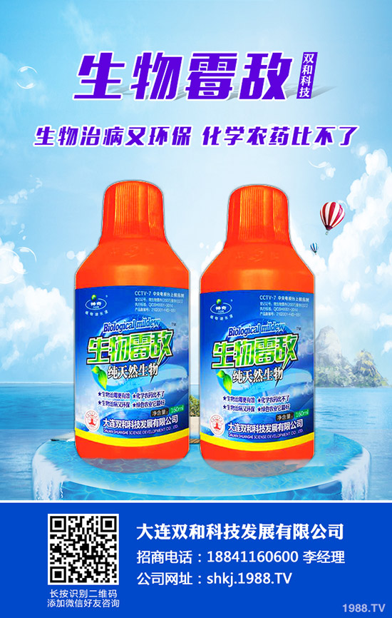平菇種植其實(shí)不難,注意這幾點(diǎn),產(chǎn)量會很高!