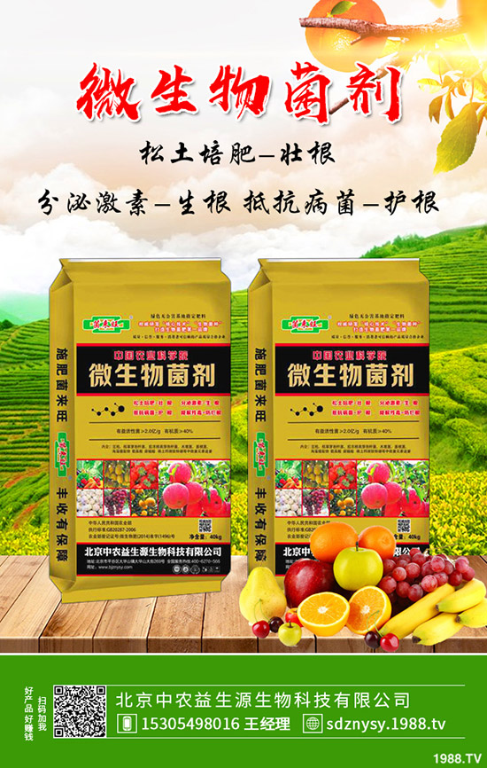 復(fù)合肥今年價格“保底”,2019-12-12最新行情走勢綜合分析!