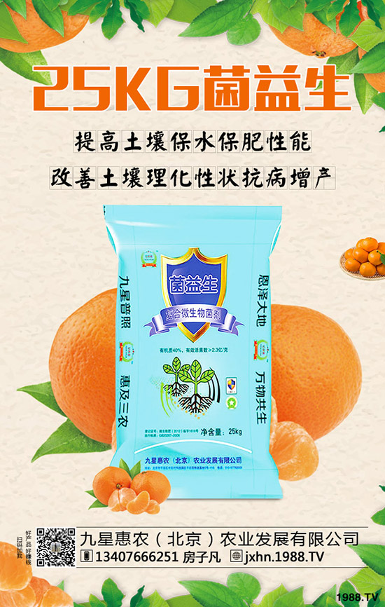 李子樹怎么種植?李子樹管理技術!