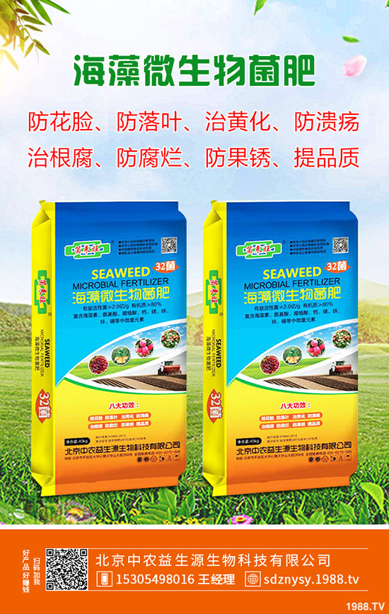 2020年春節(jié)鮮姜價格預計“暴漲”!多少錢一斤?生姜漲價原因分析!