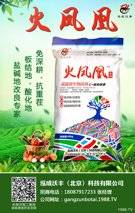     2020��Nֲ����ٍ�Xô��ǰ��������һ������Ͷ�Y��Ч�������