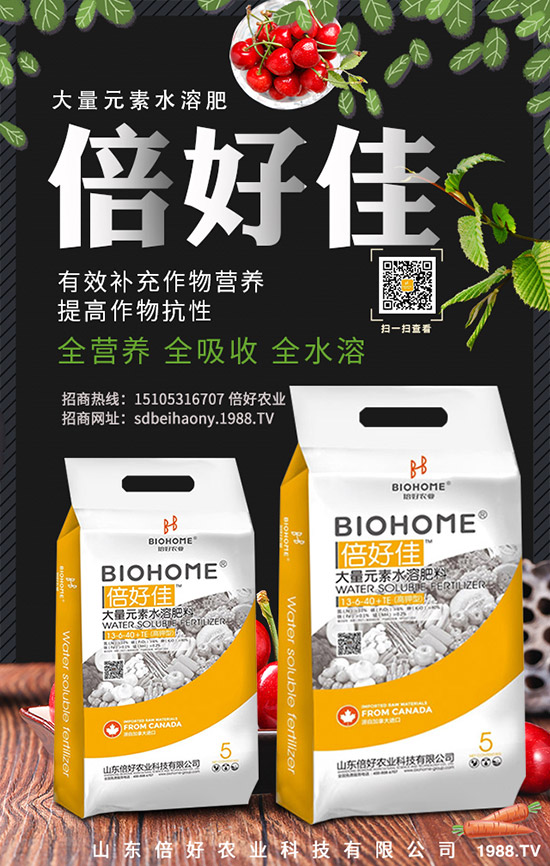 小黃姜與普通生姜的區(qū)別!小黃姜藥用價(jià)值及功效與作用你了解多少?