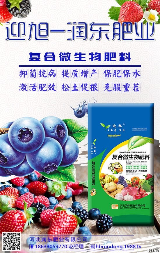芒果旺長怎么辦?農(nóng)戶們?nèi)绾螒?yīng)對芒果旺長?