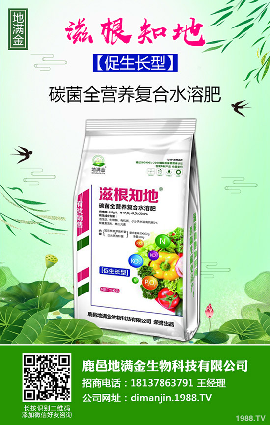 2020年種植哪些洋蔥品種賺錢?洋蔥種植時(shí)間及育苗技術(shù)!
