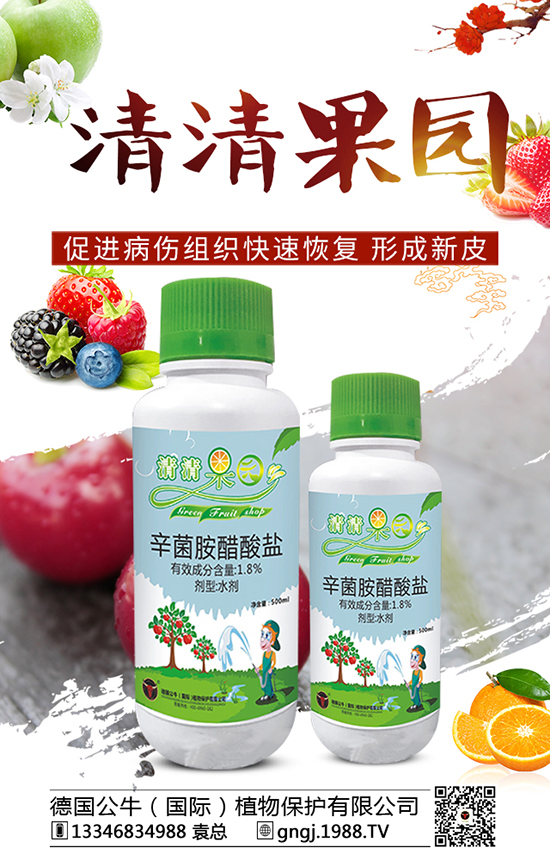 ľ�ϰ��ǲ��Y�� ľ�ϰ��ǲ����η���