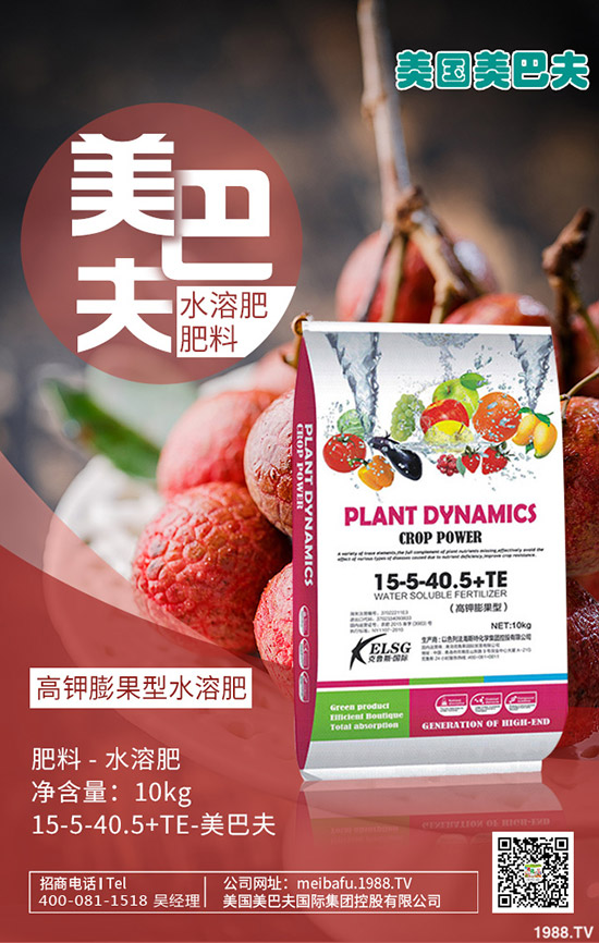     2020Ԫ�����������@����(ch��)���o��������һ�@�����(b��o)�r(ji��)��