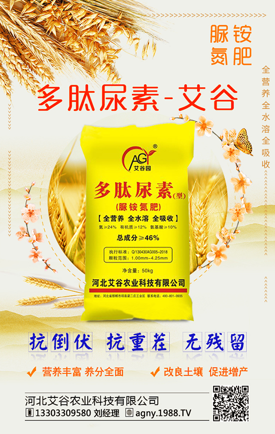 菌肥的種類很多,他們當中的菌類作用您了解多少?