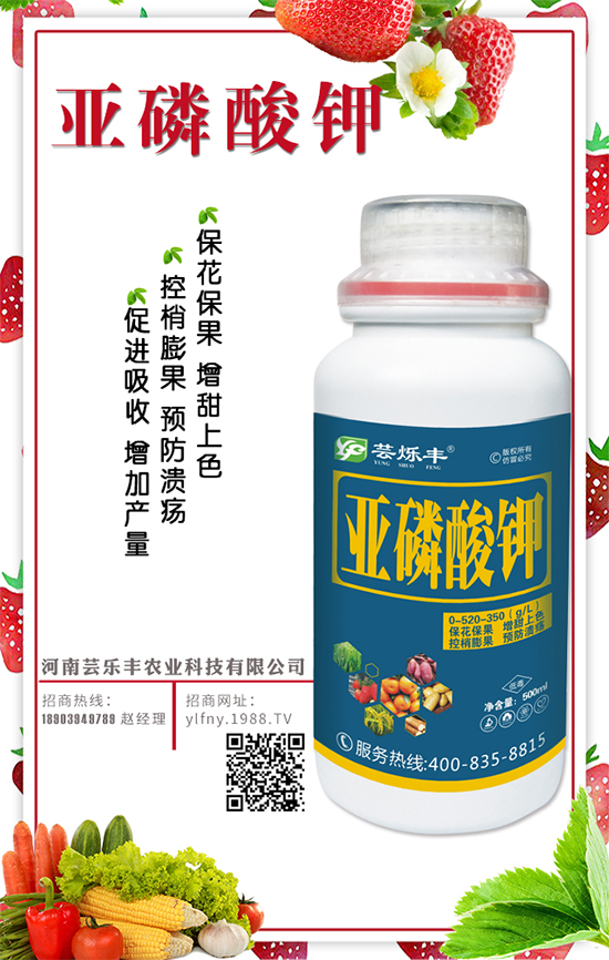 吃木耳菜有什么好處?木耳菜的營養(yǎng)價(jià)值及食療價(jià)值!