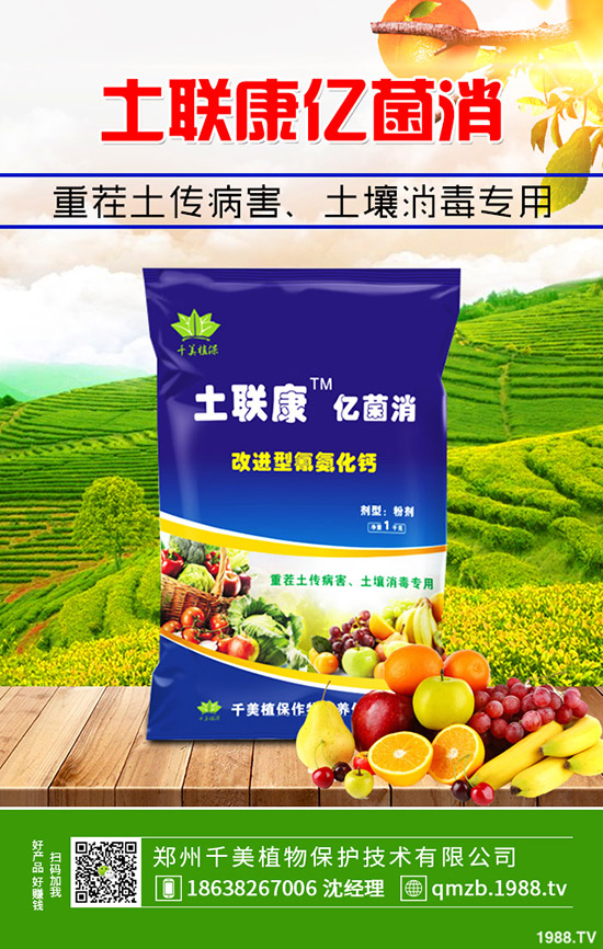 2020尿素價格行情如何?會漲么?12月30日各地區(qū)尿素主流出廠報價!