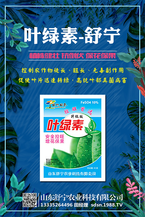 小南瓜對環(huán)境條件有什么要求?小南瓜高產(chǎn)種植要點!