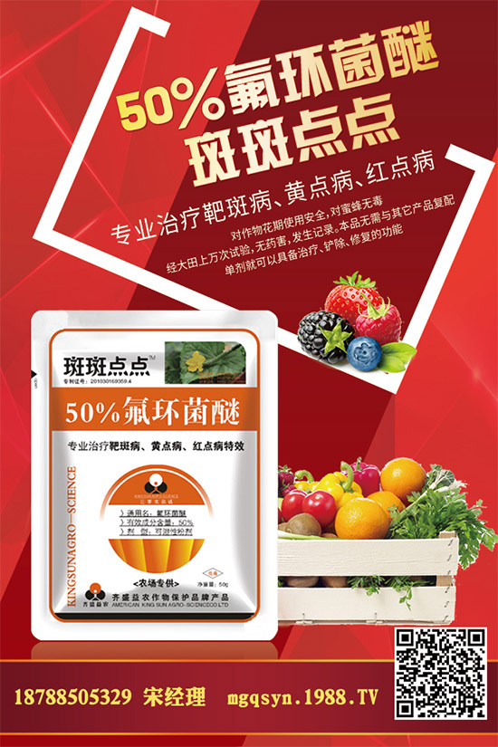 �������r(ji��)����S��(b��o)�r(ji��)