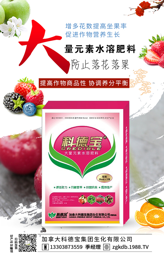 �۹��N�����༼�g(sh��) �۹��N�ӷ�ֳ����