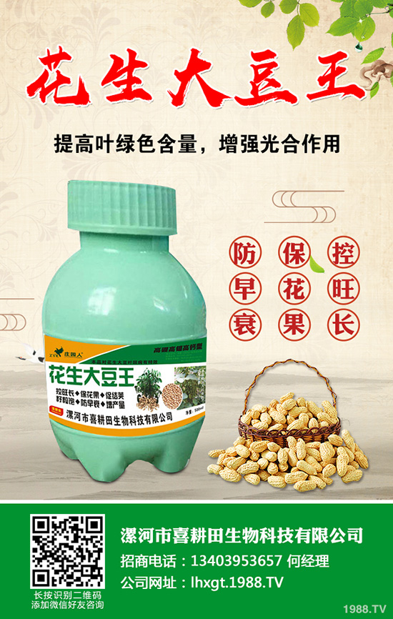 近期磷銨價格行情走勢分析2019.8.28