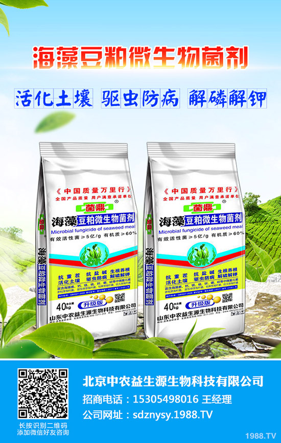 花椰菜什么時間種植,花椰菜種植技巧有哪些?