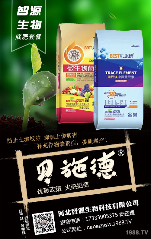 �Nֲ��(h��)횿������ǻ��ʣ�׷��ʩ�ʷ���