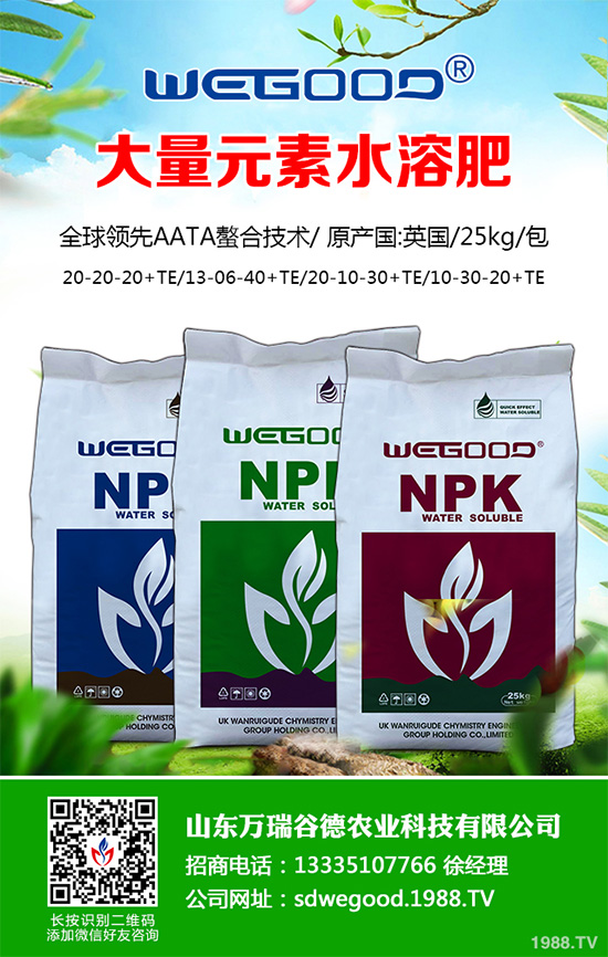 尿素價格