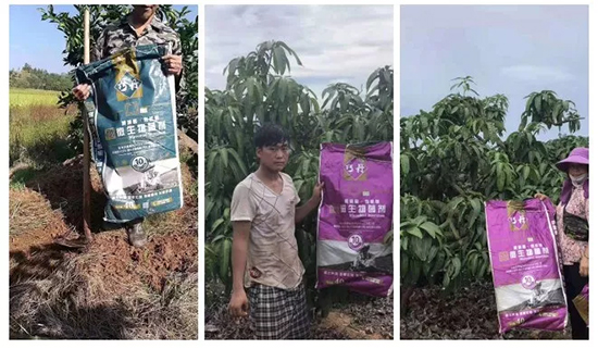 ��΢�������+�ЙC(j��)�ʡ�Ч��ţ�ƣ�ʩһ���������ʡ���ָ߮a(ch��n)��