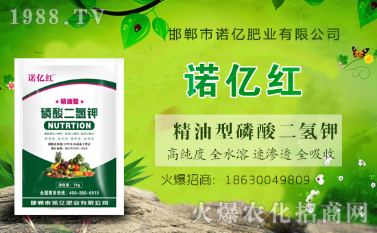 火爆農化網喜迎新盟友,攜手利諾億肥業(yè)共走財富之路