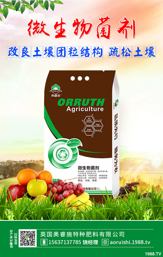     ���؃r���{(di��o)�q�^�����������������߄ݼ������A(y��)�y2019-9-14