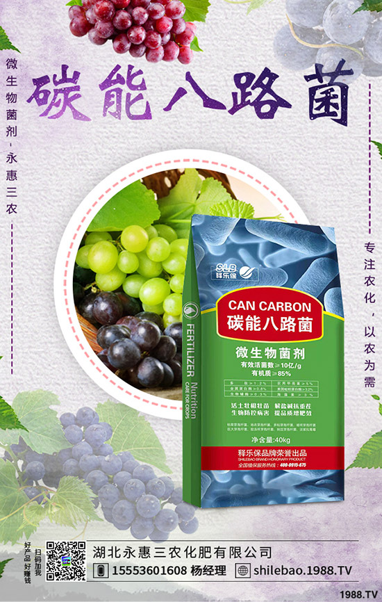 �������ʩ������Ҭ��ʩ�ʕr(sh��)������Ҭ�˵�ʩ���������g(sh��)���˽�ô��