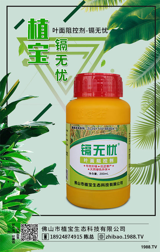 秋季大蔥什么時間種植？2019秋茬大蔥種植技術(shù)指南