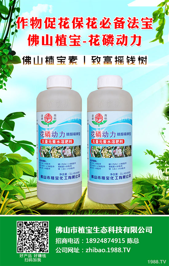 秋季大蔥什么時間種植？2019秋茬大蔥種植技術(shù)指南