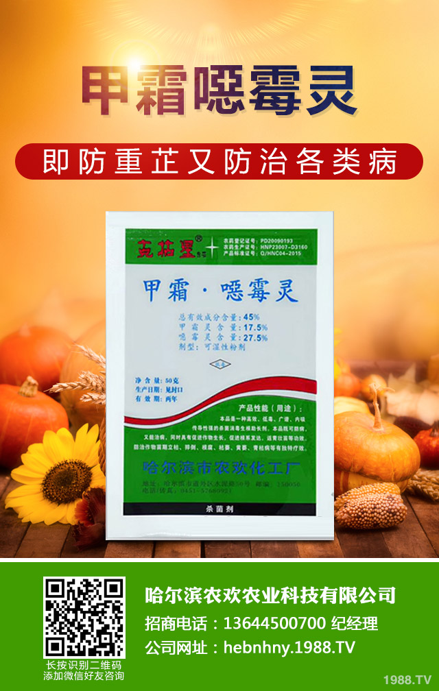 哪些方法能桑樹(shù)赤銹?桑樹(shù)赤銹病防治技巧