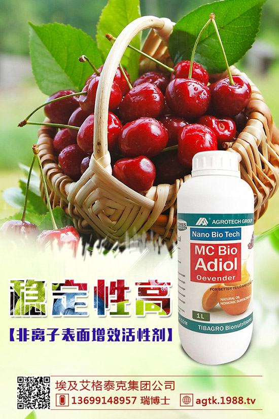 ���y�����ӷN�������y���NֲҪ�c��