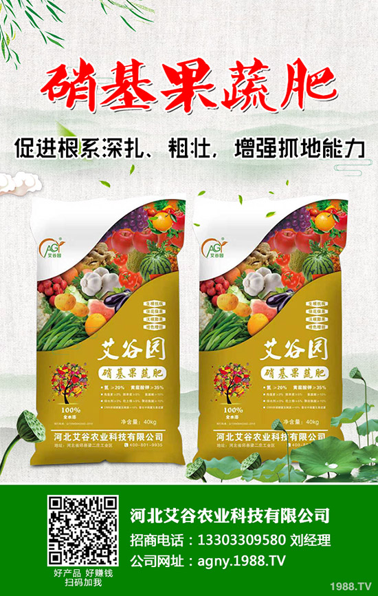 花椰菜與西蘭花的營養(yǎng)價值有什么不同,花椰菜西蘭花的區(qū)別有哪些?